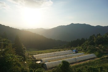 yusukawa guesthouse coccoron