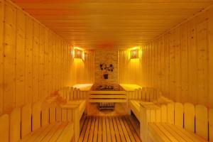 Hotel Arena Samokov,Borovets>>Belchin,3 star