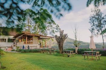 kintamani