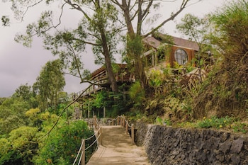 kintamani
