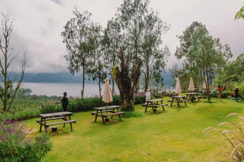 kintamani