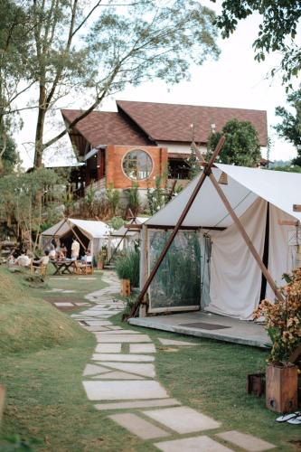 kintamani