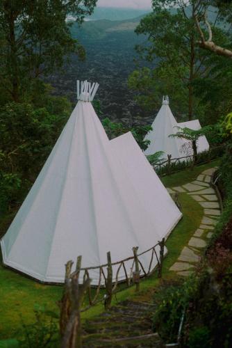 kintamani