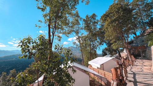 kintamani