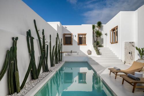 villa oasi 3 by alfred in bali
