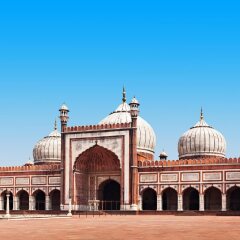 new delhi