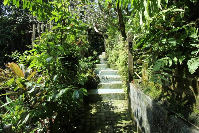 belvilla padma legian resort near monkey forestnearubud palace