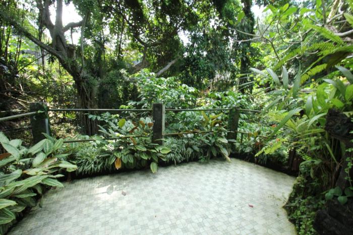 belvilla padma legian resort near monkey forestnearubud palace