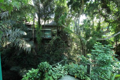 belvilla padma legian resort near monkey forestnearubud palace