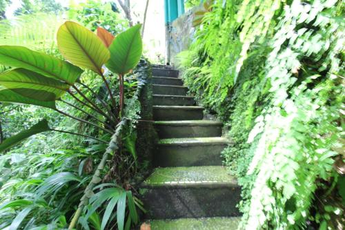 belvilla padma legian resort near monkey forestnearubud palace