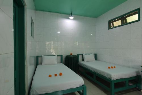 belvilla padma legian resort near monkey forestnearubud palace