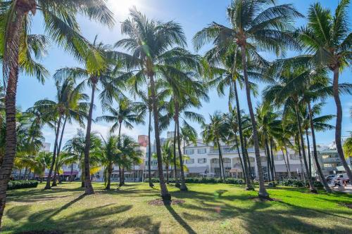 miami beach