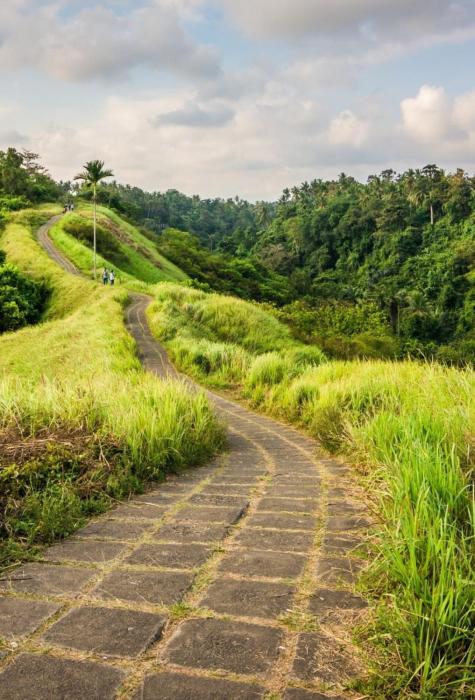 tjendana kanaka jungle resort ubud