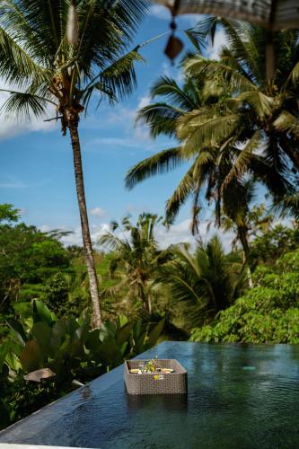 tjendana kanaka jungle resort ubud