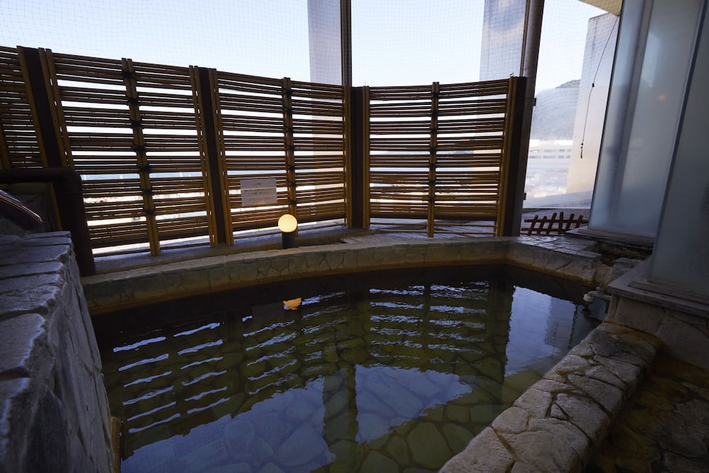hotel new tsuruta