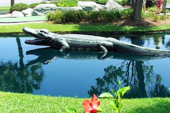 magnolia pointe