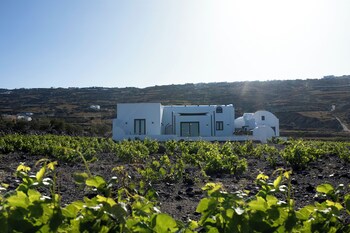 vinebranch villas