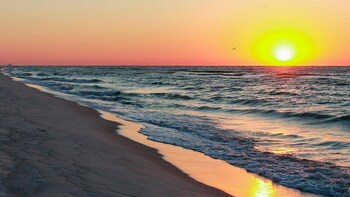 beachcrest