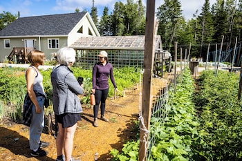 upper humber settlement a farmstay bnb