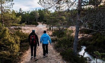dolmsundet hotell hitra