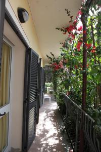 porto azzurro