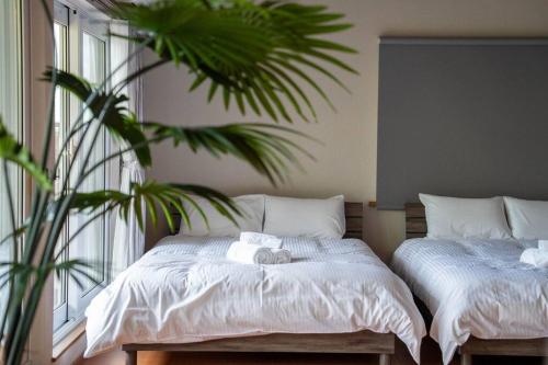 private lodging han