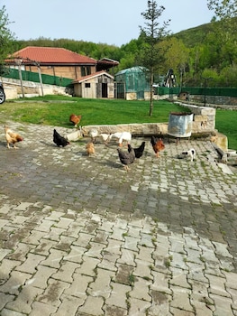 candarli ciftligi