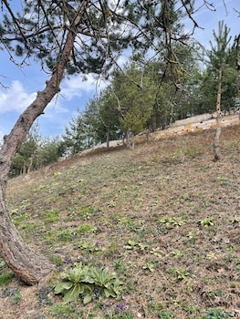 candarli ciftligi