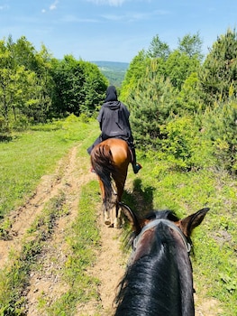 candarli ciftligi