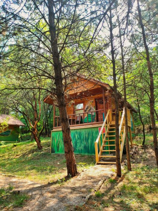 campinari doga evleri and restaurant