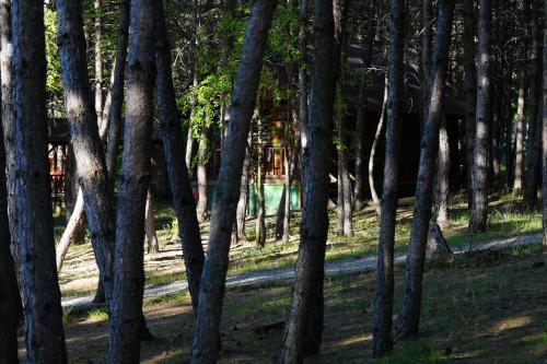 campinari doga evleri and restaurant