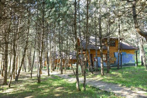 campinari doga evleri and restaurant