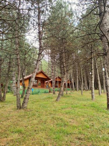 campinari doga evleri and restaurant