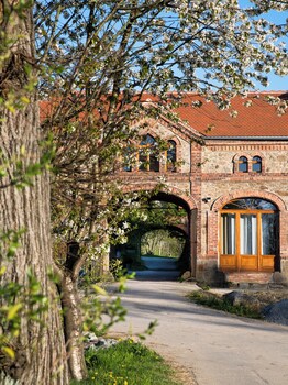 hexenburgbeidresden stylishes designerappartement mit schlafsofa terrasse nahe sachsische schweiz