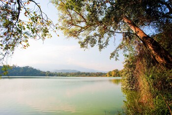 Lake Duluti Lodge,Arusha National Park>>Arusha,4 star