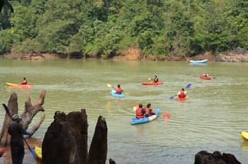 bison river resort dandeli