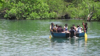 bison river resort dandeli