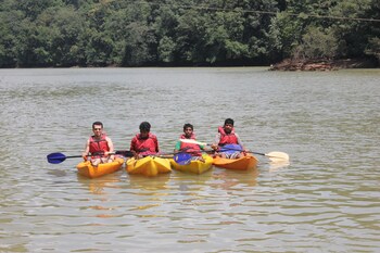 bison river resort dandeli