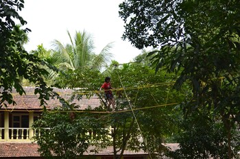 bison river resort dandeli