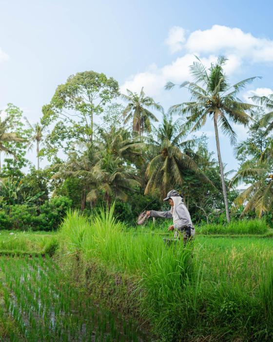 tannari villa ubud
