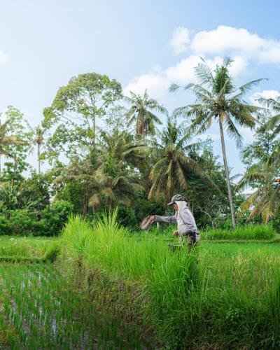 tannari villa ubud