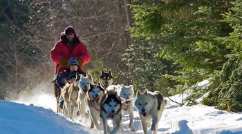 hotel marineau mattawin