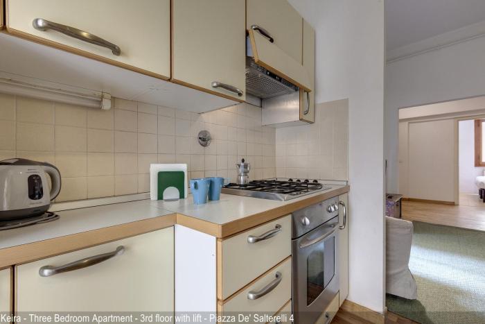 salterelli apartments by mamo florence