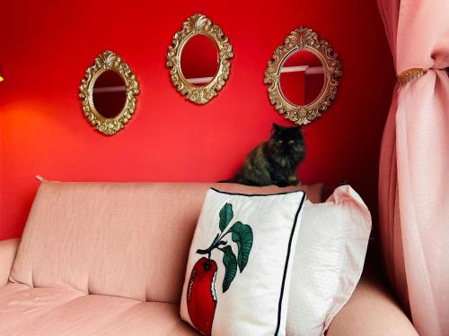 o apartamento rosa