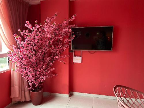 o apartamento rosa