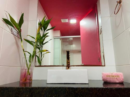 o apartamento rosa