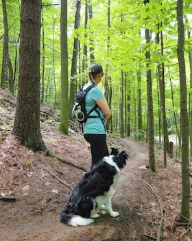 Mansfield Outdoor Centre,,3 star