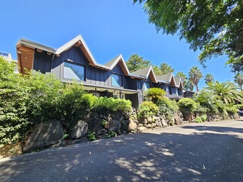 tree story pension