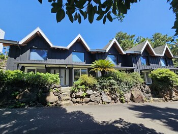 tree story pension