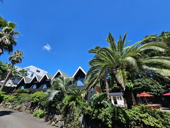 tree story pension